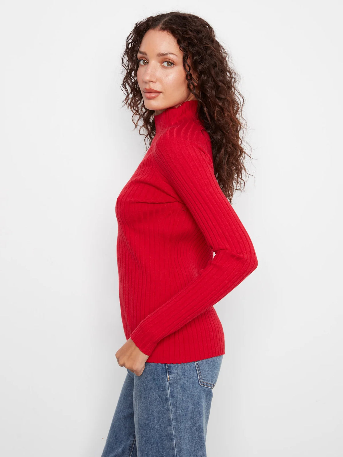 CHAR SWEATER RIBBED MOCK NECK