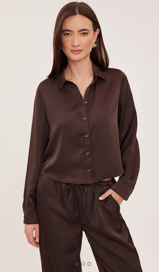 Gentle Fawn Satin Blouse